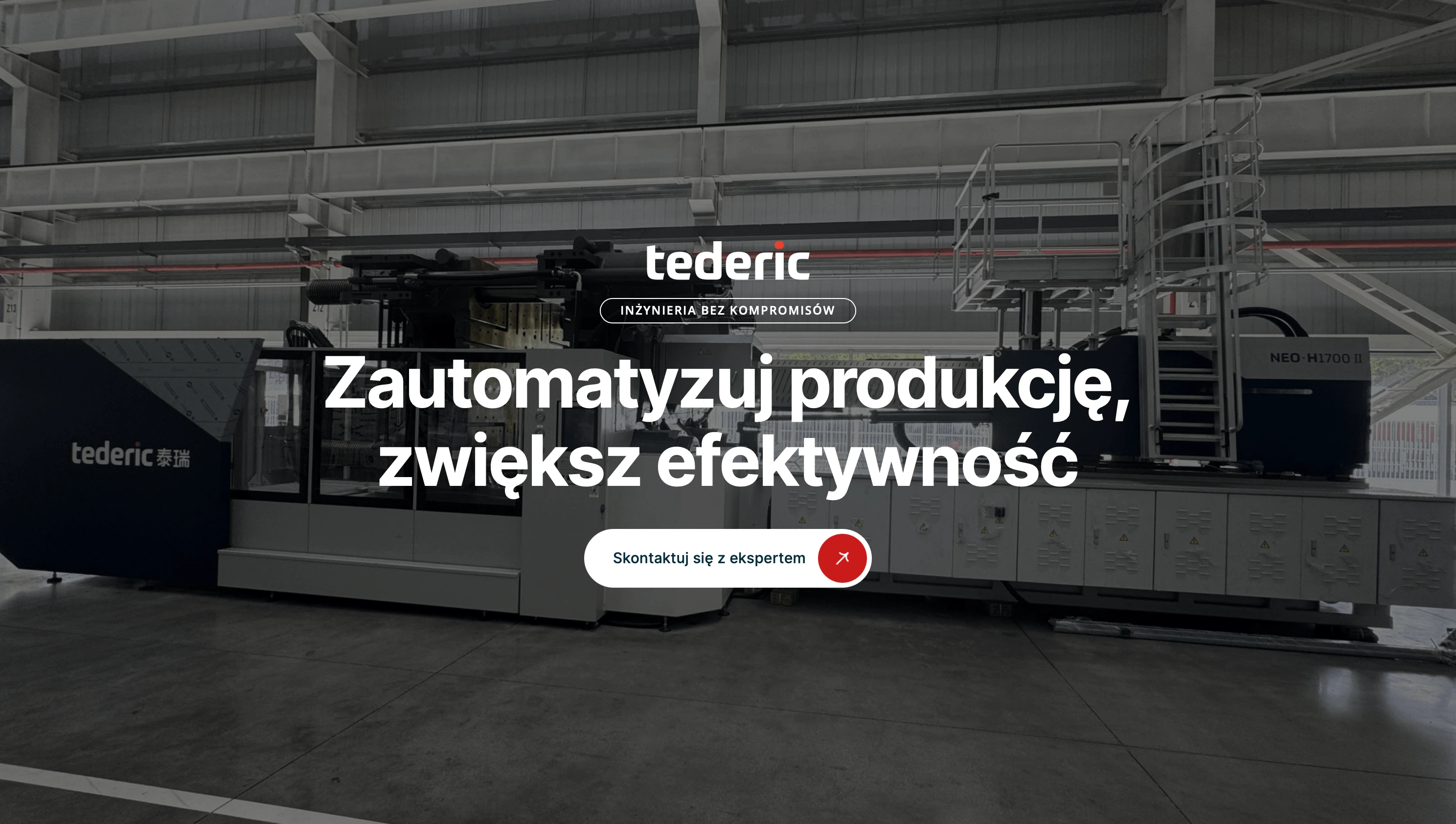 Strona internetowa TedeSolutions